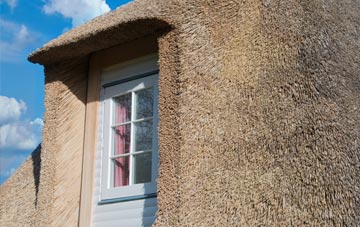 Chaceley Hole thatch roof disadvantages